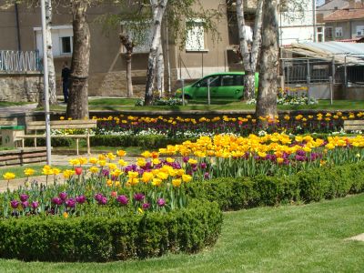 “Озеленяване и поддръжка на територии за обществено ползване в община Дряново” – пролетен вариант